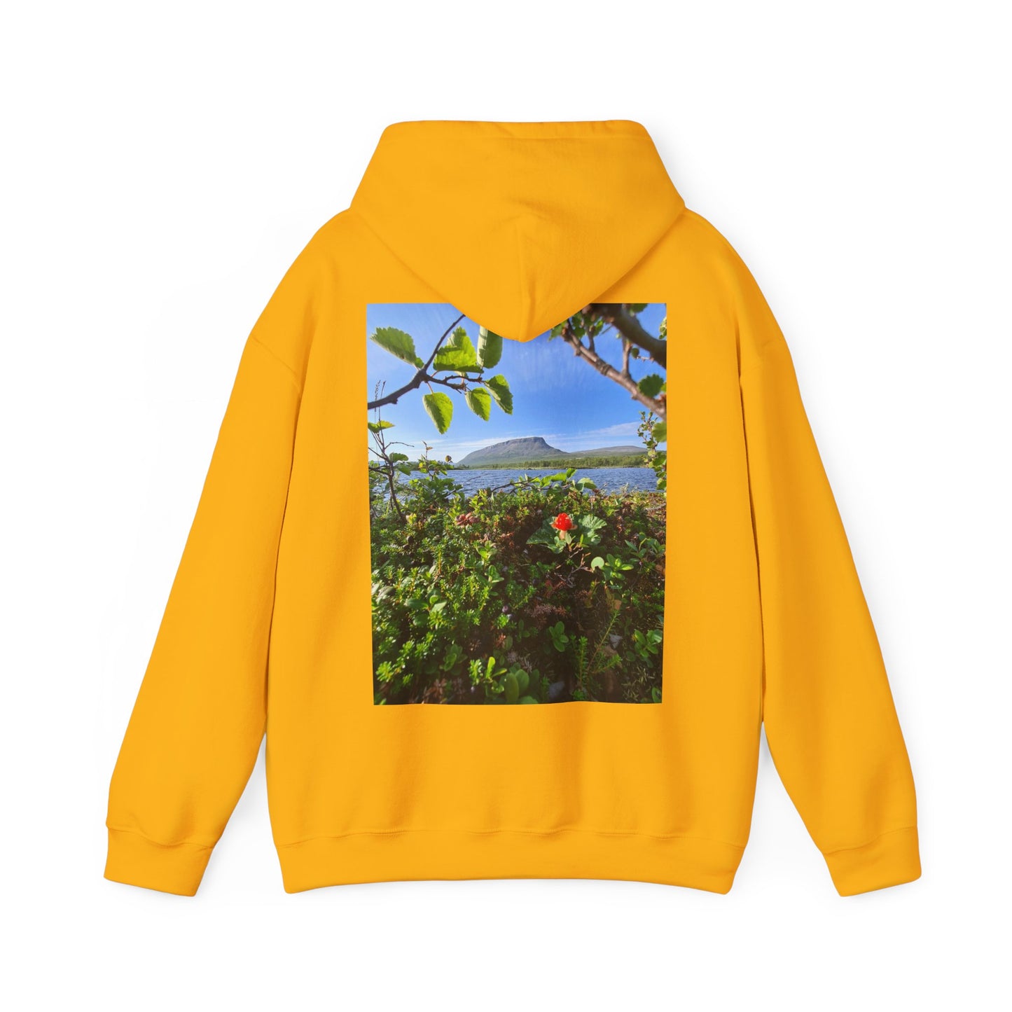 Kilpisjärvi Unisex Heavy Blend™ Hooded Sweatshirt