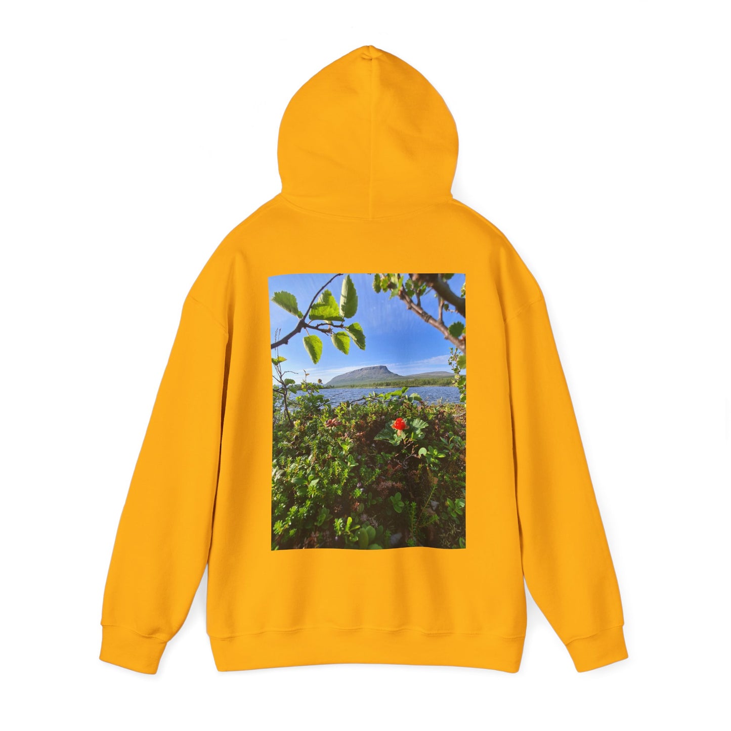 Kilpisjärvi Unisex Heavy Blend™ Hooded Sweatshirt