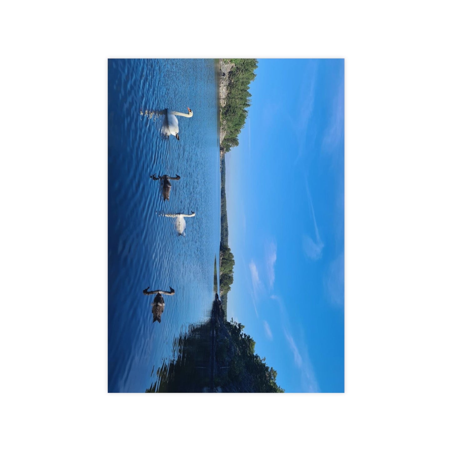 Scenic Landscape Poster - Serene Water Reflections Decor